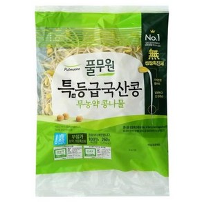 풀무원 우리집반찬 나물 무침 특등급 국산콩 무농약 콩나물 씻을 필요없는 250g, 1개