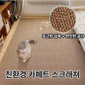 [집사 필수템] 벤스투 친환경 고양이 카페트 스크래쳐, 1개, 다크브라운