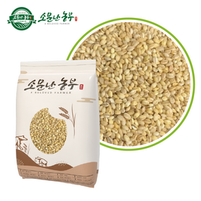 2024년산 국내산 찰보리쌀 5kg, 1개