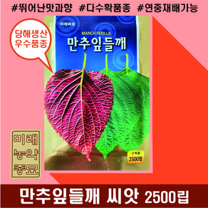 만추잎들깨 씨앗 2500립- 연중재배 뛰어난 맛과 향, 1개