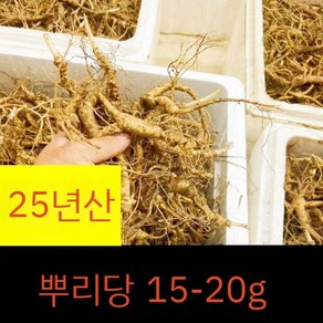 25년산 백두산 신선한 임하삼 산양삼 임하산삼 선물용 백두산산삼 6뿌리/세트, 25년산 6뿌리, 1세트, 1개