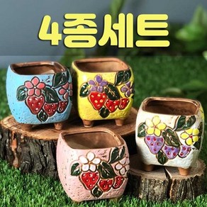 다육맘 수제화분 딸기1, 4종세트