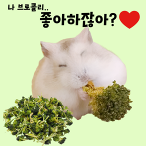 [당일배송] 햄스터 기니피그 친칠라 앵무새 애완새 영양 간식 브로콜리, 1팩, 10g