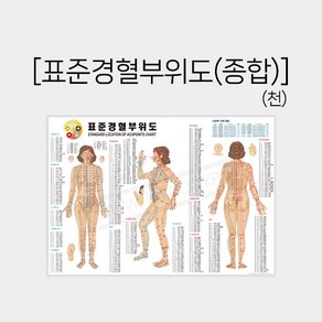 피지오몰 표준경혈부위도 종합도 - 교육도 경혈점 인체도 교육용인체도, 1개