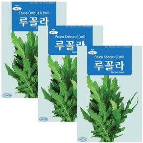 루꼴라 씨앗 로켓샐러드 씨 3000립, 3개
