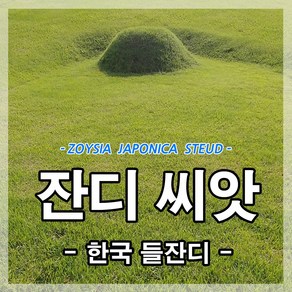 한국잔디씨앗20g (1제곱미터용) 잔디씨 산소 정원 공원 묘지 골프장