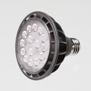 비츠온 PAR30 LED 15W 집중 스포트형 전구색 3000K