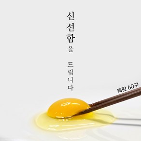 파머스테이블 HACCP 무항생제 신선한 계란 특란, 1개, 60구