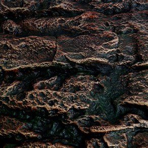 미미네아쿠아 3D 입체 어항 백스크린 PPY002-2 [60x45cm], 단품, 1개
