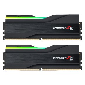 G.SKILL DDR5-6400 CL32 TRIDENT Z5 RGB J 패키지 (96GB(48Gx2)), 2개