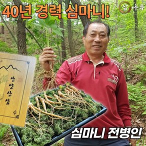 40년경력 심마니 전병인의 삼나루 산양산삼 산양삼 6년근 10뿌리 세트 명절선물 부모님선물, 1개