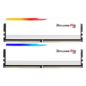 G.SKILL DDR5-5200 CL40 RIPJAWS M5 RGB 화이트 패키지 (32GB(16Gx2))