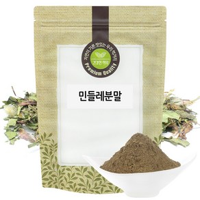 민들레 분말 가루 300g 국산 국내산, 1개