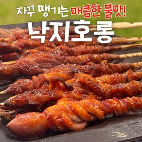 [전라도식] 쫄깃한 낙지호롱 꼬치, 900g, 1개