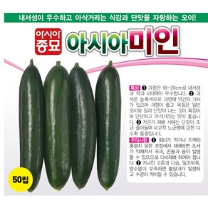 아시아미인 10립 오이씨앗종자 유기농야채 텃밭 주말농장 베란다야채키우기 아시아종묘, 1개