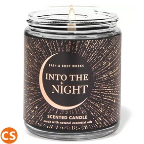 배쓰앤바디웍스 싱글윅캔들 7oz 인투더나이트 캔들 향초 Bath&Body woks INTO THE NIGHT SINGLE WICK CANDLE, 1개