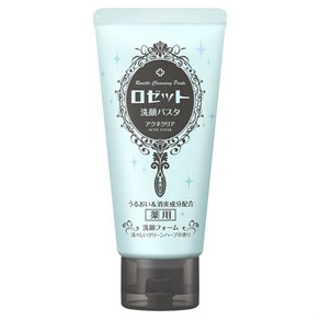 로제트 ROSETTE 세안 파스타 아크네 클리어 [여드름 대책 세안제 120g], 1개, 120g