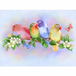 더라이트 DIY 보석십자수 앵무새 pch20081786, 35*45cm, 원형비즈, 1개