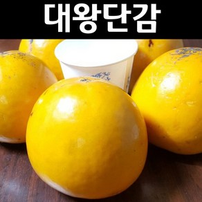 감나무 묘목(대왕단감) 접목1년 뿌리 특묘 1개/유실수 과실수, 1개