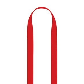 [페츨] Petzl 아노 150cm 슬링 확보물, 레드 (AP-C40A150)