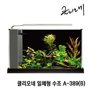 클리오네 일체형 수조(수중모터 포함) A-398 블랙, 1개