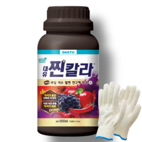 대유 찐칼라 500ml 고추 사과 포도 샤인머스켓 당도제 비대제 착색제+작업장갑, 1개