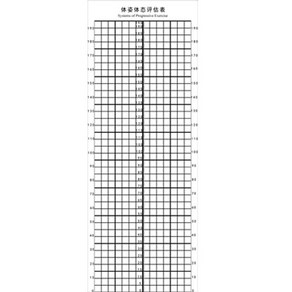 체형 스크린 필라테스 분석판 바디 분석표 포토존, 1개, 포스터 80x210 접착