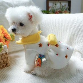 Cheese Bea Woolen Skit White Pet Clothes Dog Cat Clothes Autumn and Winte Wam Emboideed Skit, Off-white, M, 1개