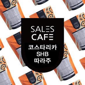 코스타리카 SHB 따라주 200g원두커피(SROC090CI0200A01), 중간분쇄/더치(U), 더치, 200g, 1개