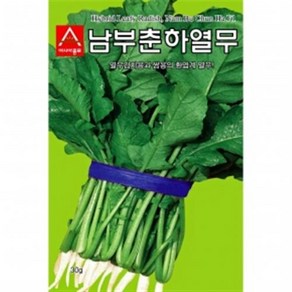 아시아종묘 씨앗 열무 남부춘하 500g, 1개