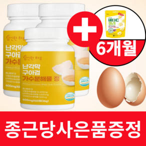 난각막 구아검 가수분해물 종근당사은품 식약청인증 HACCP 참신한하루, 3개, 60정