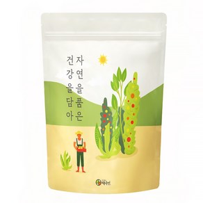 자연닮음 국산 여주 돼지감자차 티백 생분해성원단 삼각티백, 1개, 100개입, 1g