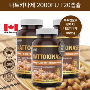 나토키나제 2000FU 120캡슐 나토키나아제 100mg 허바 캐나다, 3개, 120정