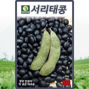 다농 서리태콩 씨앗 30g 재래종 검은 콩씨 종자, 1개