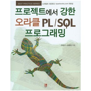 프로젝트에서 강한 오라클 PL/SQL 프로그래밍, 비팬북스