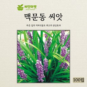 아람종묘 맥문동 씨앗 100립, 1개