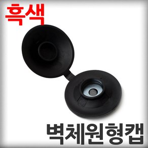 벽체원형캡 흑색 직결나사캡 판넬벽체캡 육각머리나사캡 판넬용원형캡 샌드위치판넬 조립식판넬 패널, 100개