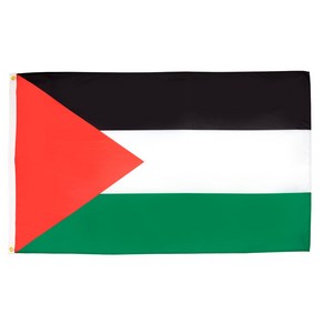 AZ FLAG - Palestine Flag - 2x3 Ft - 100D Polyeste Palestinian Banne with Two Metal Gommets - Fad, 1개