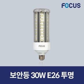 포커스 LED 보안등 파워램프 30W 투명, 1개, 주광색