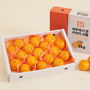 제주 명품 혼합과일 선물세트 3kg (12과 레드향/한라봉/천혜향 각 4과), 1박스, 3kg (12과, 레드향/한라봉/천혜향 각 4과)