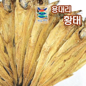 [용대리] 황태포 10미 대/38~40cm, SIZE:용대리 황태포 10미 특대/42~44cm, 상세 설명 참조, 상세 설명 참조