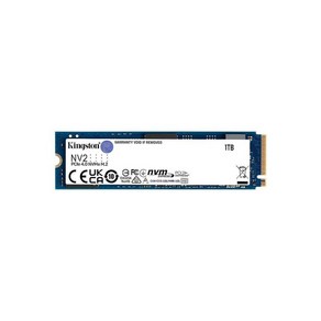 Kingston NV2 1TB M.2 2280 NVMe 내장 SSD PCIe 4.0 Gen 4x4 최대 3500 MB/s SNV2S/1000G, 250GB