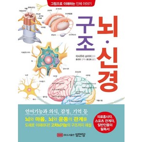 뇌·신경 구조:의료종사자 스포츠 관계자 일반인들의 필독서