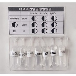 (ART)SSC 대표적인 앙금생성 반응키트(10인용)