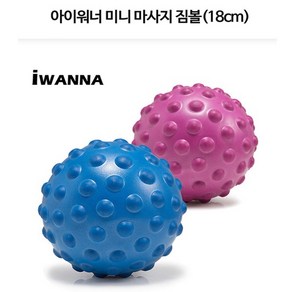 아이워너 미니 마사지짐볼 18cm 스트레칭볼 다이어트, 1개, PURPLE