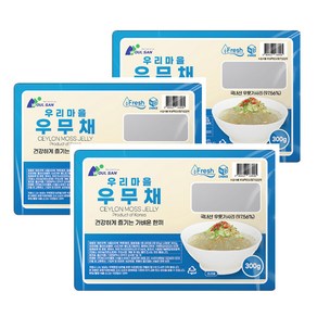 우무채 300g 3팩 제주도 우리마을 다이어트 우뭇가사리 저칼로리식단, 3개