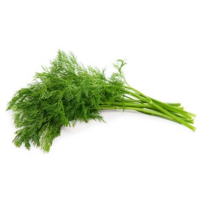 허브 딜 생잎 100g (Dill) 향신료