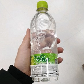 이로하스 샤인머스켓 540ml, 1개