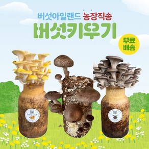 버섯키우기, 표고+느타리+금빛, 1세트