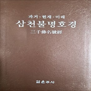 NSB9788957461761 새책-스테이책터 [삼천불명호경] -과거.현재.미래--운주사-김시열 지음-불교 경전/법문-20061020 출간-판형 188x